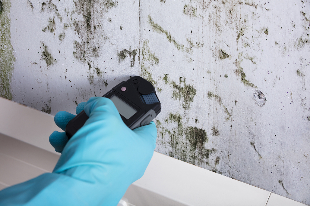 Messung von Feuchtigkeit und Schimmel an einer Wand